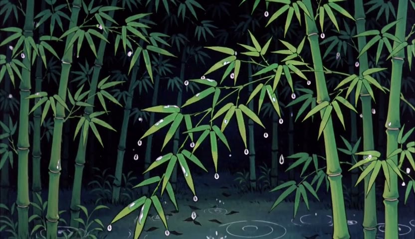 夜雨竹林 · 雨圈落定15s（无声）