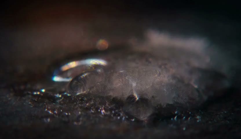 冰融·水滴亮了珠30s（无声）