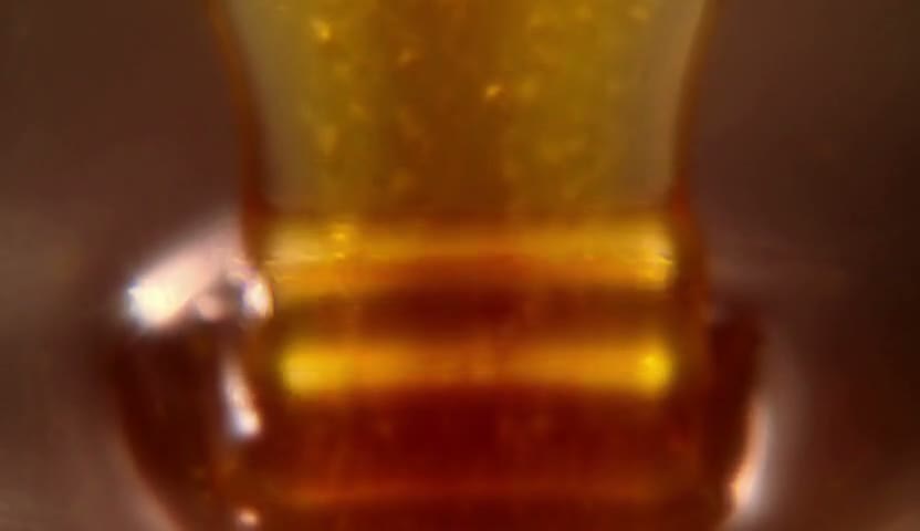 蜂蜜倾倒·金帖落面30s（无声）