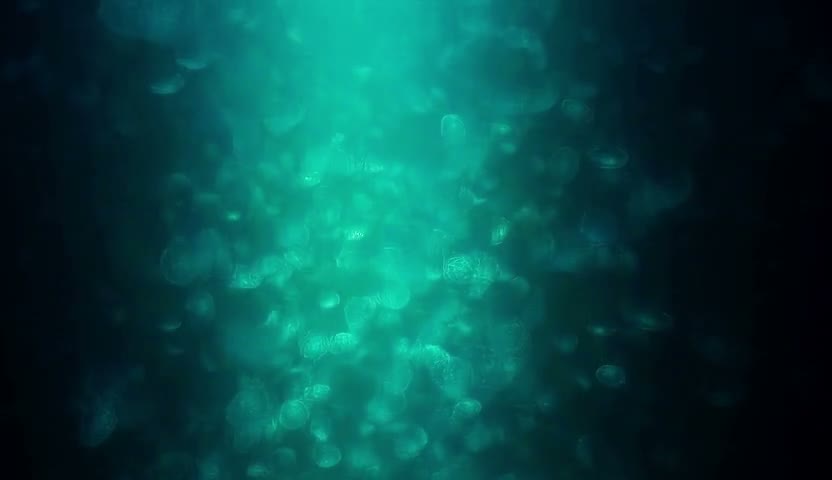 水母·蓝光漂了游30s（无声）