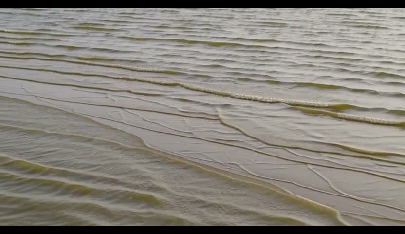 滩涂·水膜走了道5s（无声）
