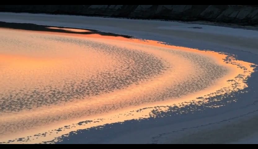 盐湖光·橙粉压了面5s(无声)