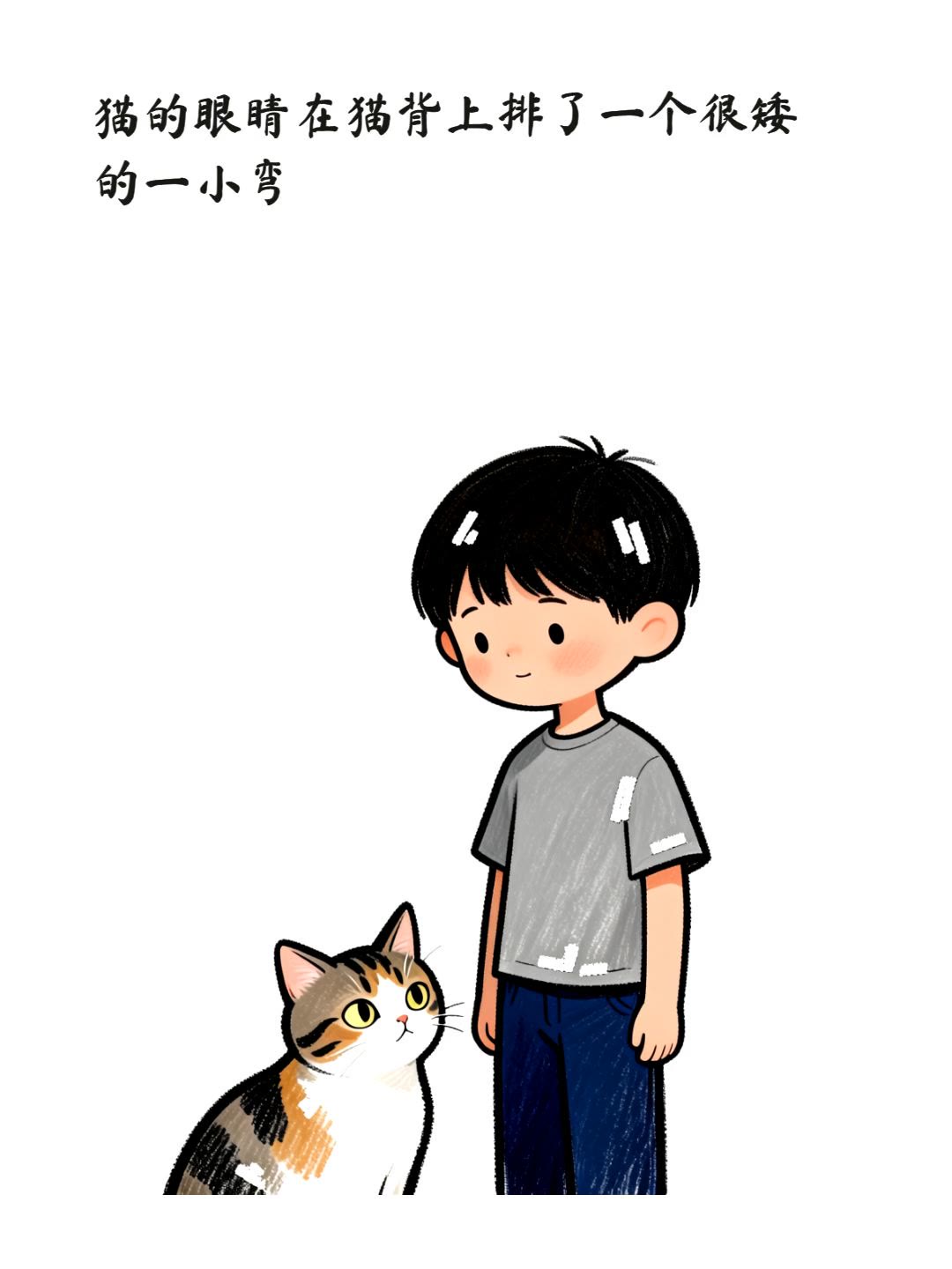 猫的眼睛