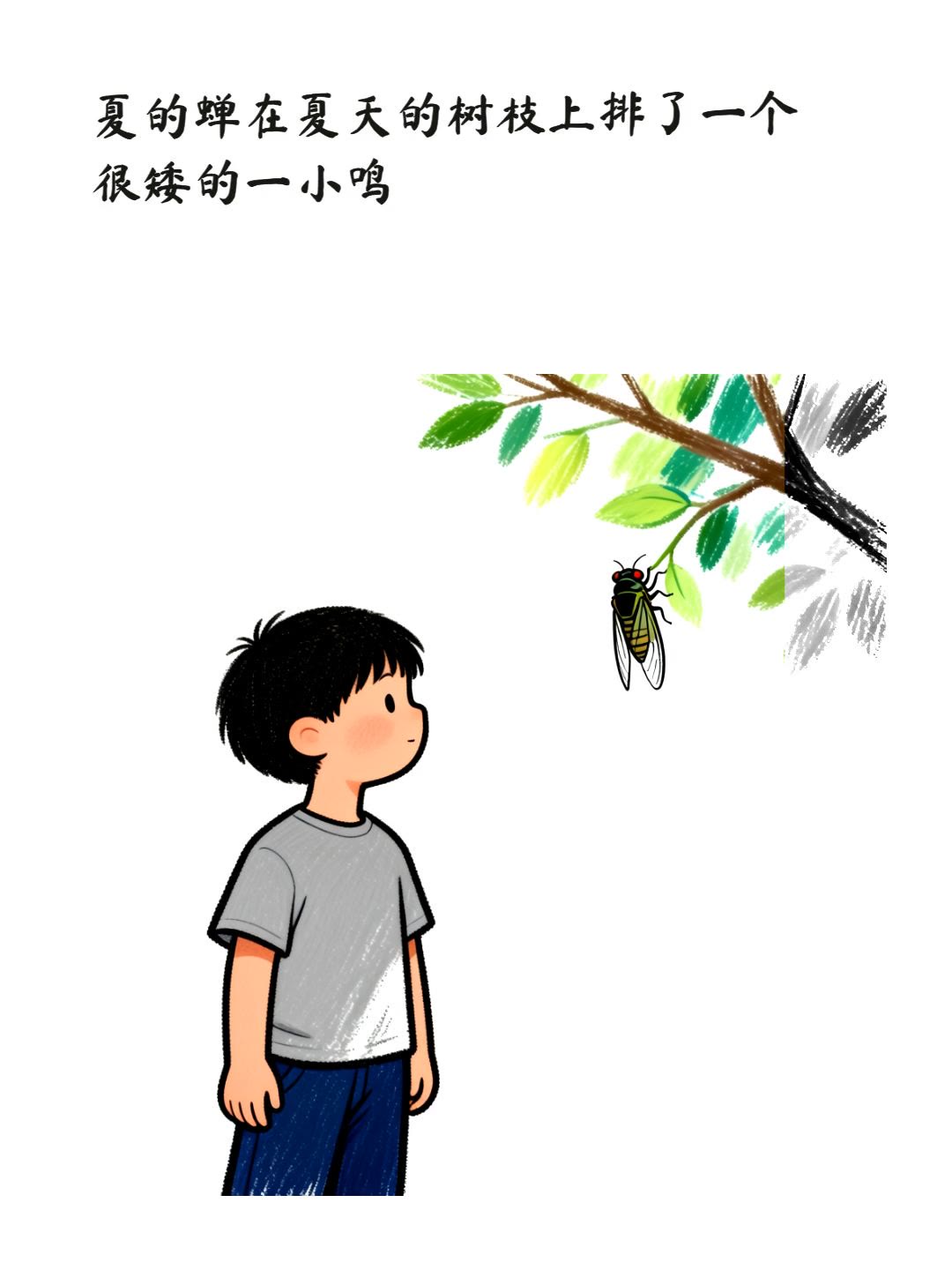 夏的蝉
